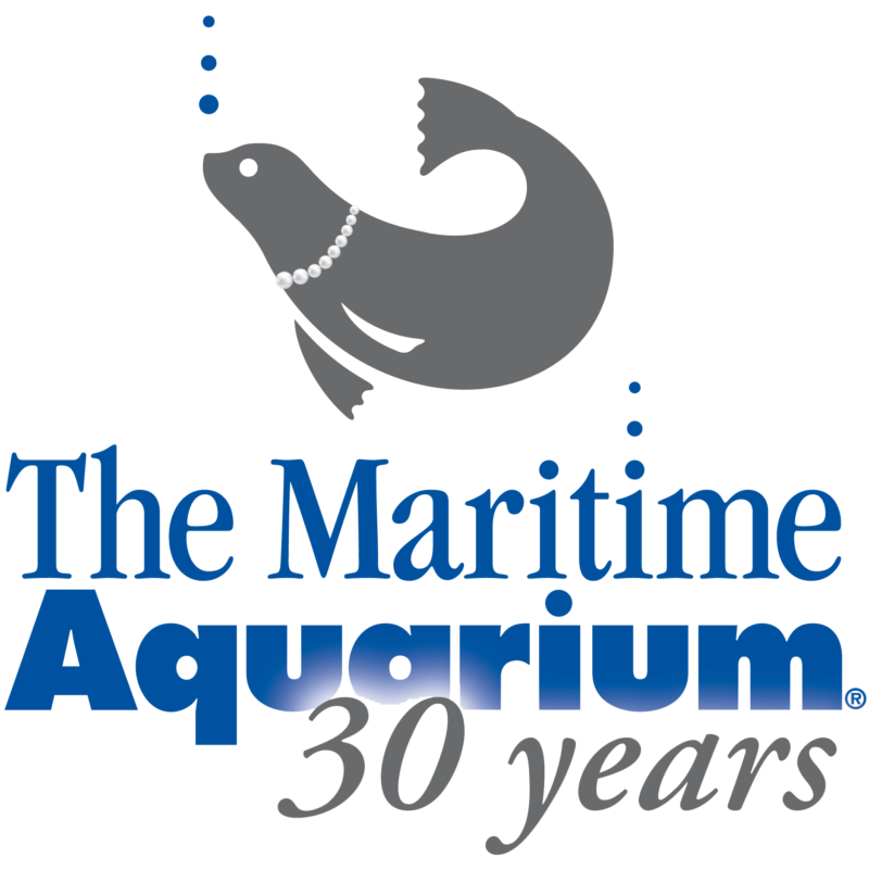 Museum Passes East Hampton Public Library